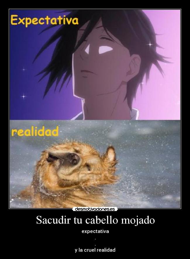 Sacudir tu cabello mojado -