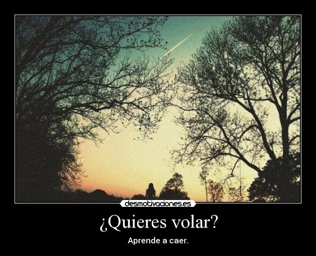 ¿Quieres volar? - Aprende a caer.