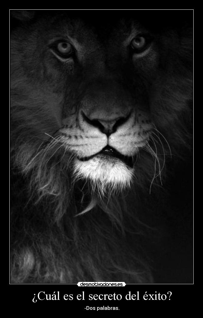 ¿Cuál es el secreto del éxito? - -Dos palabras.
