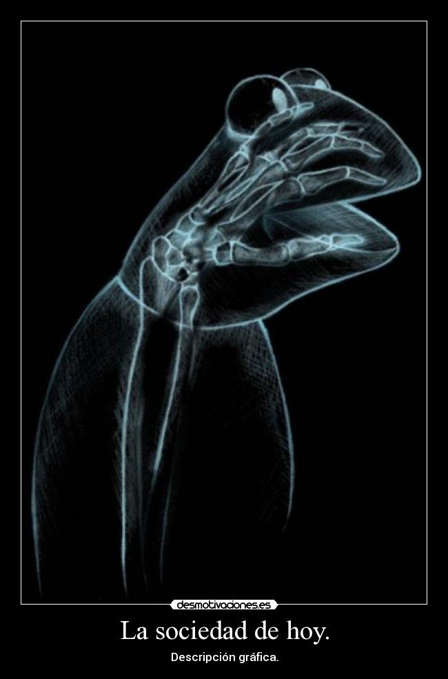 La sociedad de hoy. - Descripción gráfica.