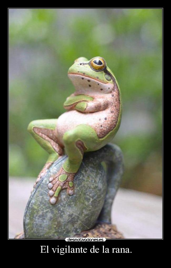 El vigilante de la rana. -