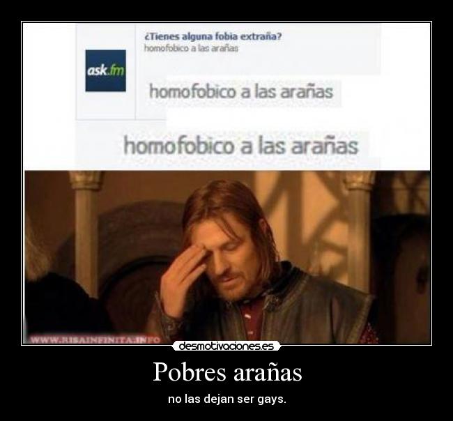 Pobres arañas - no las dejan ser gays.