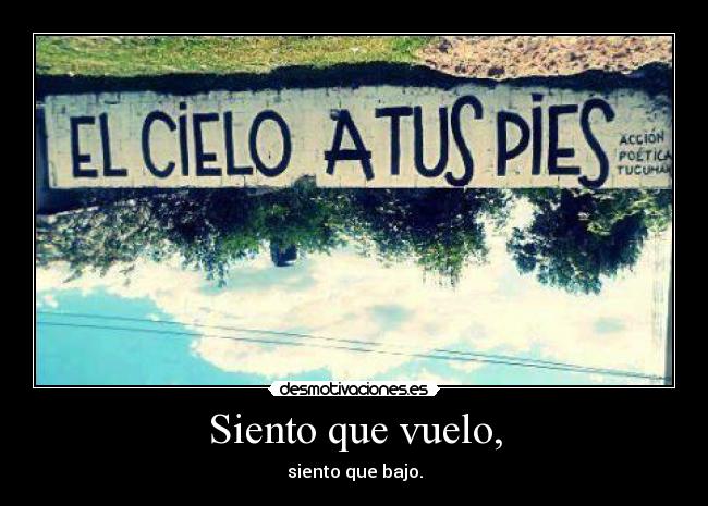 Siento que vuelo, - siento que bajo.