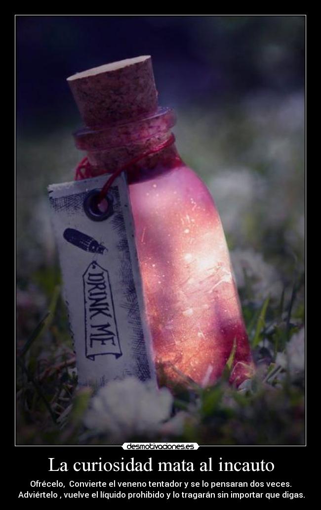 La curiosidad mata al incauto - 