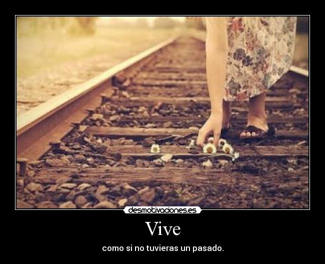 Vive -