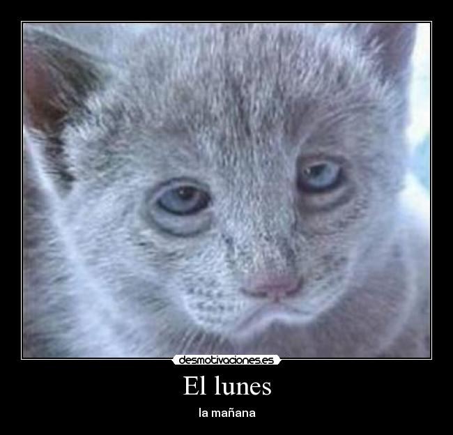 El lunes - la mañana