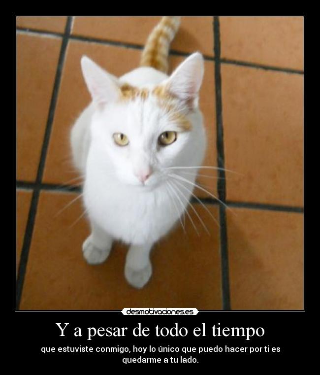 Y a pesar de todo el tiempo - que estuviste conmigo, hoy lo único que puedo hacer por ti es quedarme a tu lado.