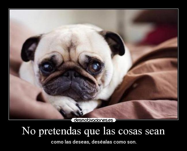 No pretendas que las cosas sean - como las deseas, deséalas como son.