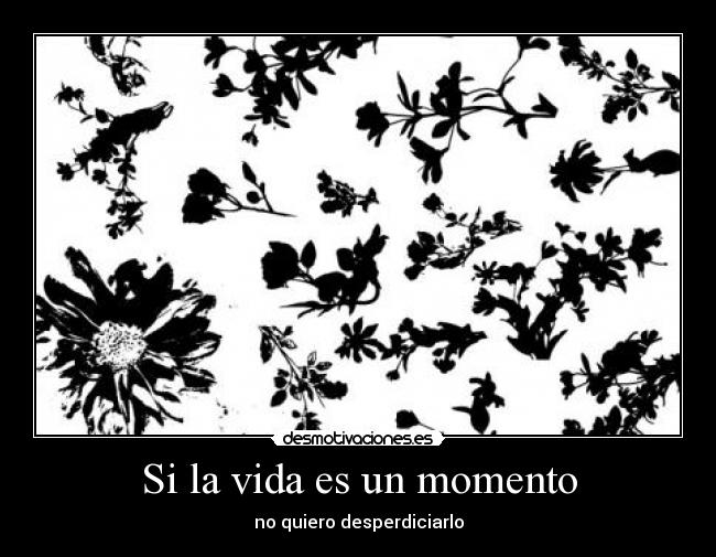 Si la vida es un momento - no quiero desperdiciarlo