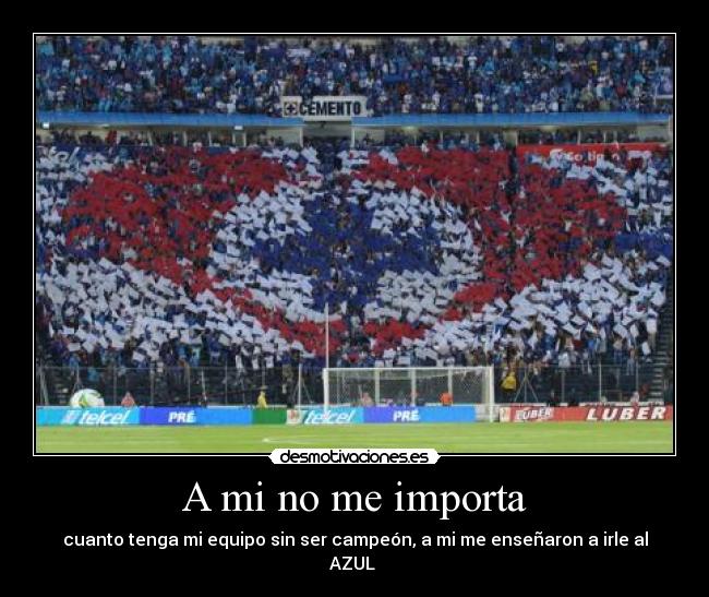A mi no me importa - cuanto tenga mi equipo sin ser campeón, a mi me enseñaron a irle al AZUL ♥