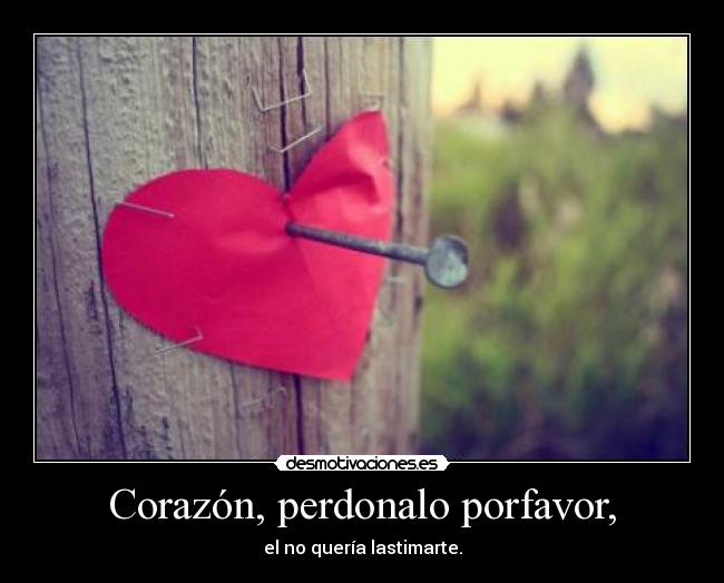 Corazón, perdonalo porfavor, - el no quería lastimarte.
