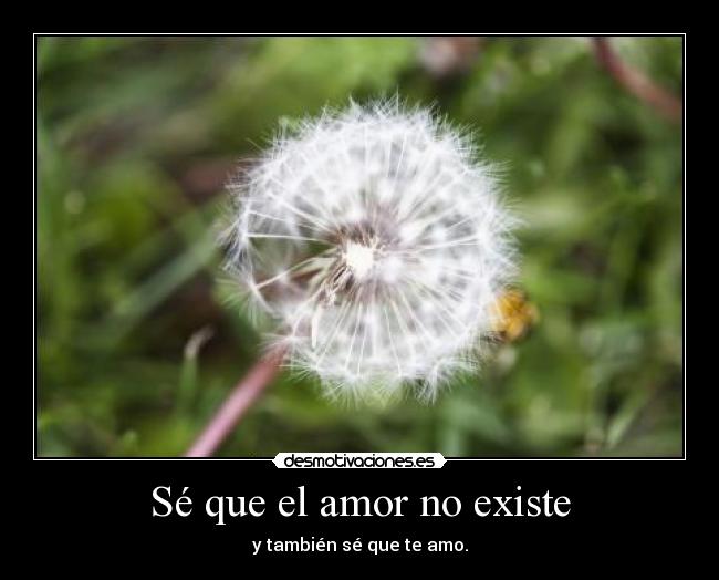 carteles amor amor desmotivaciones