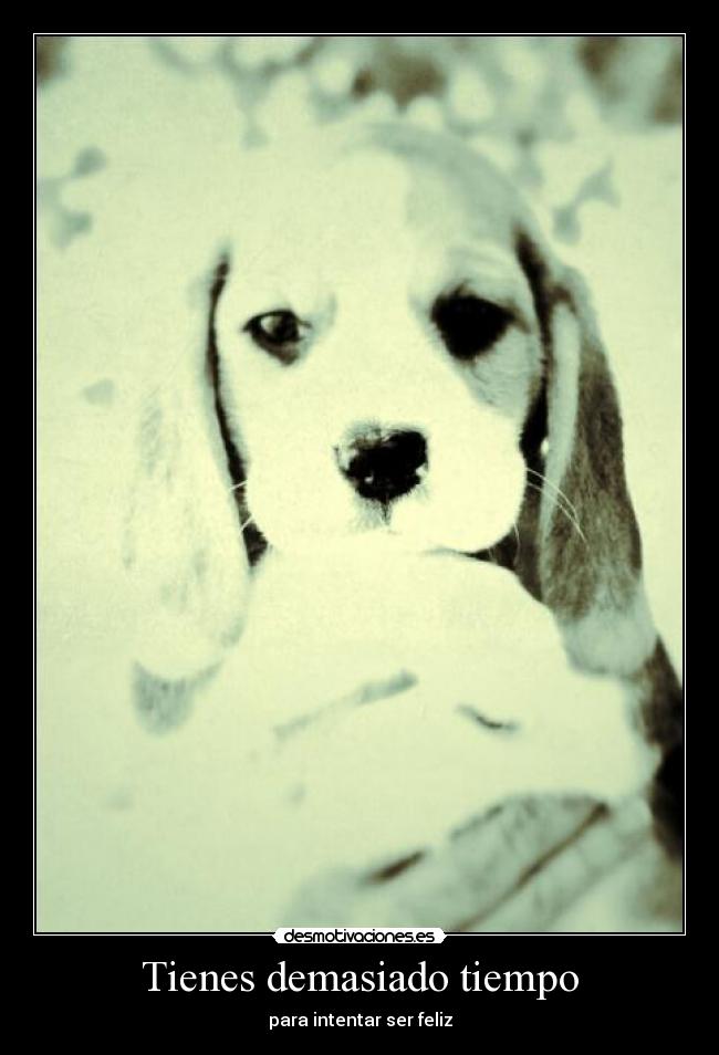 Tienes demasiado tiempo -