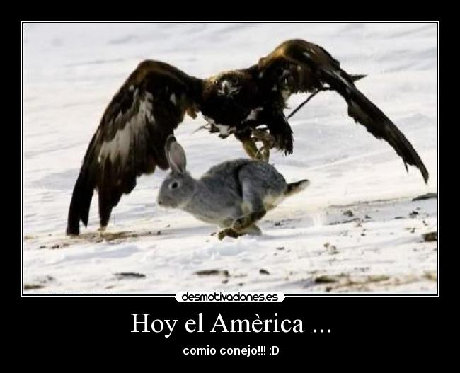 Hoy el Amèrica ... -