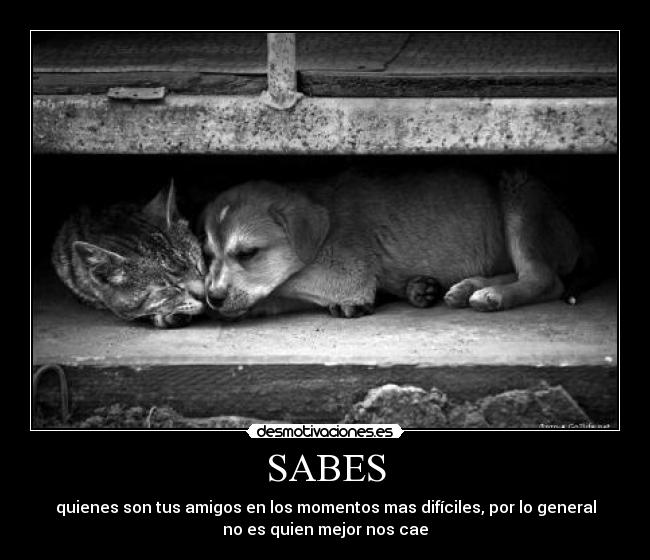SABES -