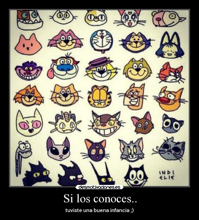 Si los conoces.. carteles gato cat tom y jerry bonito good desmotivaciones