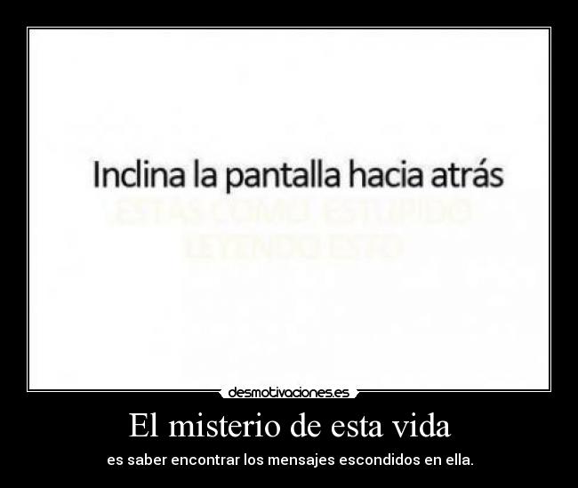 El misterio de esta vida - es saber encontrar los mensajes escondidos en ella.