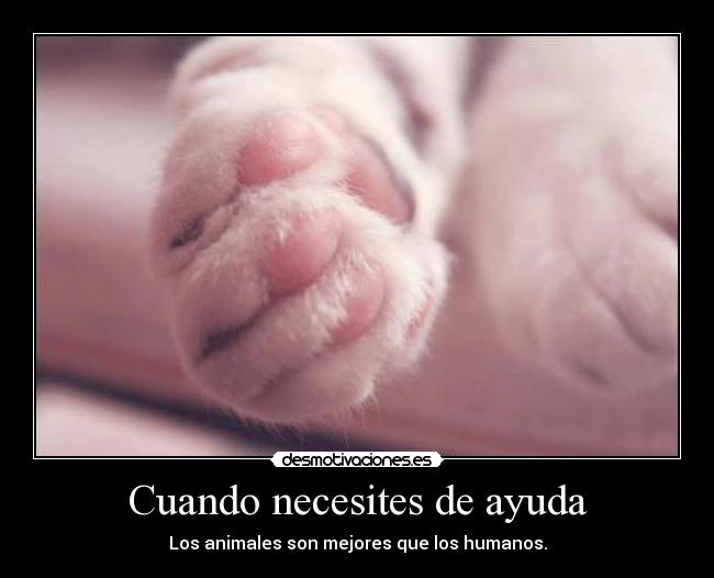 carteles ayuda oekjfe desmotivaciones