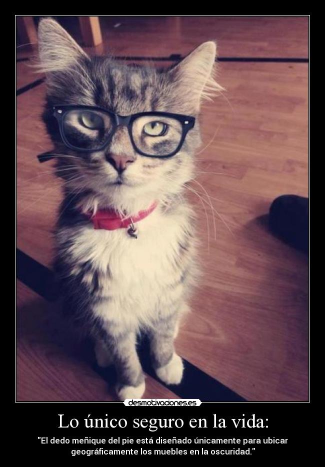 carteles vida truee desmotivaciones