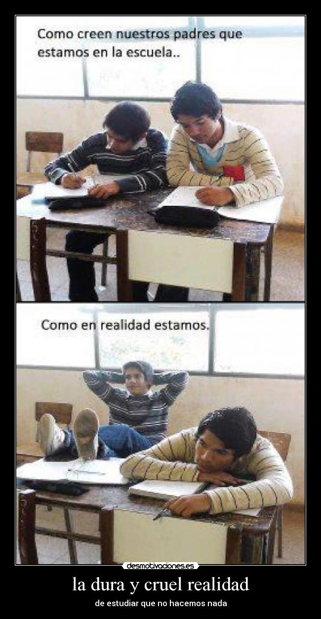 la dura y cruel realidad -
