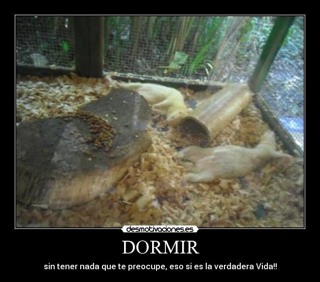 DORMIR - sin tener nada que te preocupe, eso si es la verdadera Vida!!