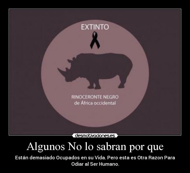 Algunos No lo sabran por que - 