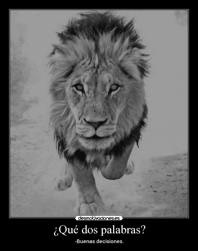 ¿Qué dos palabras? - -Buenas decisiones.