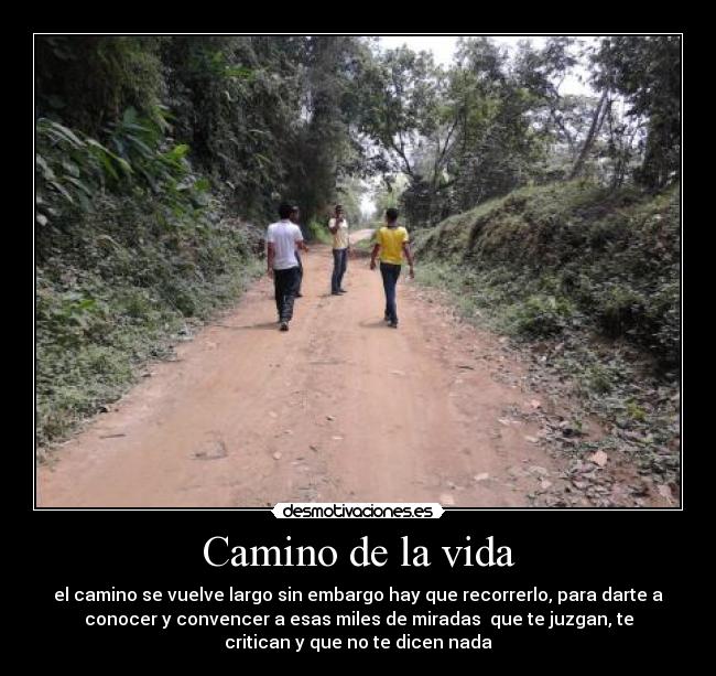 Camino de la vida -