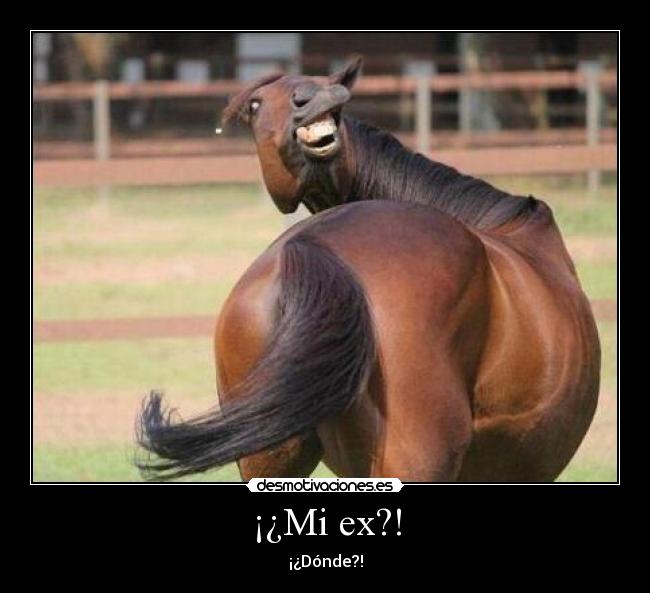 ¡¿Mi ex?! - ¡¿Dónde?!