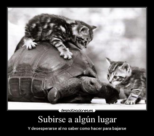 Subirse a algún lugar -