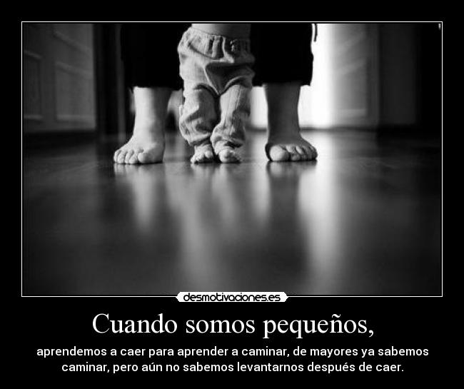 carteles directionerloveforever ahora que xddddddd desmotivaciones