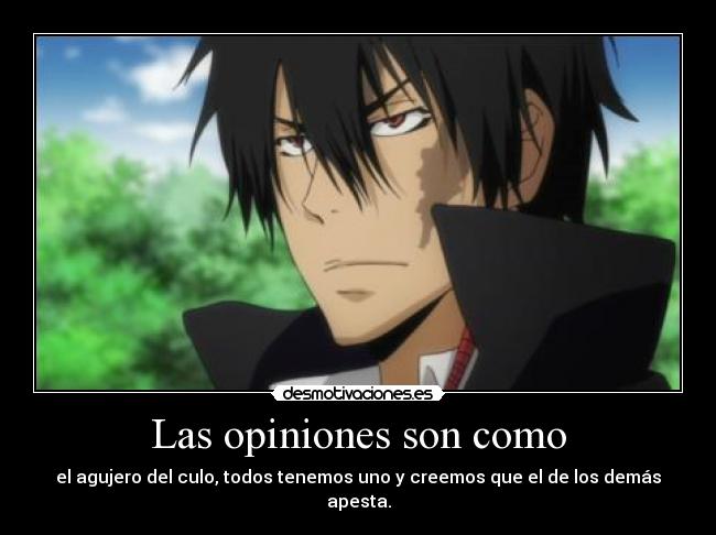 Las opiniones son como - el agujero del culo, todos tenemos uno y creemos que el de los demás apesta.