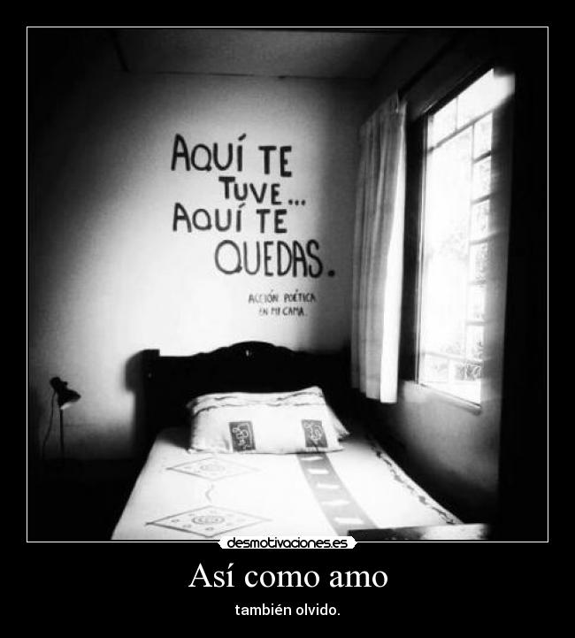 Así como amo -