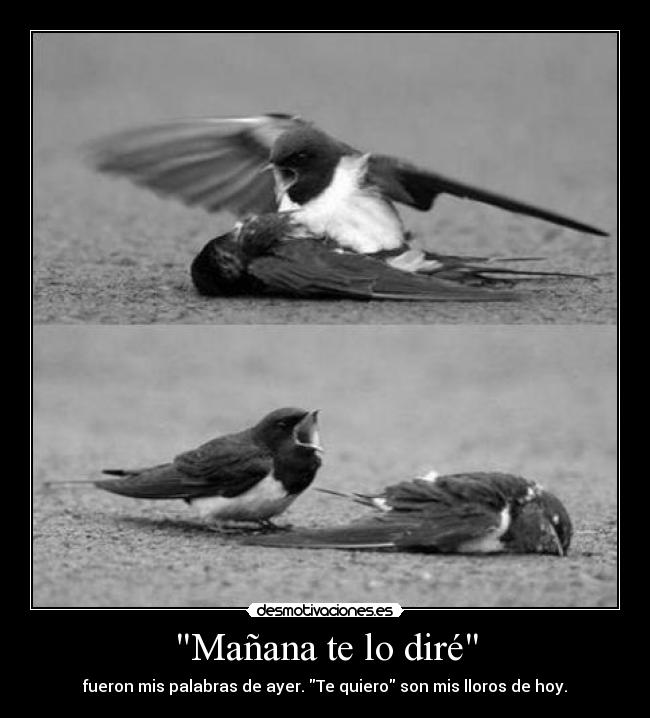 Mañana te lo diré -