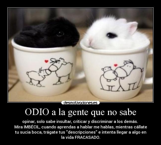ODIO a la gente que no sabe -