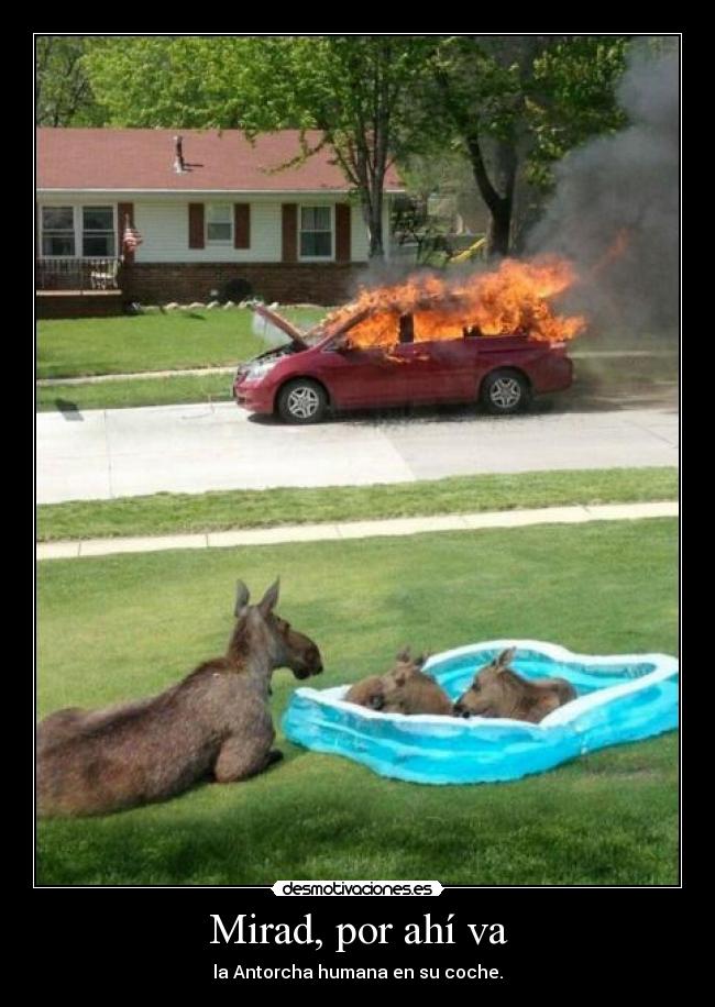 Mirad, por ahí va - 