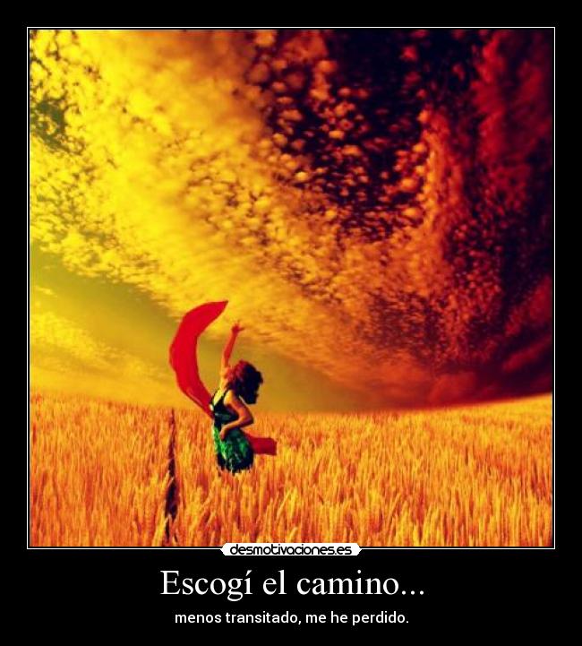 Escogí el camino... - menos transitado, me he perdido.