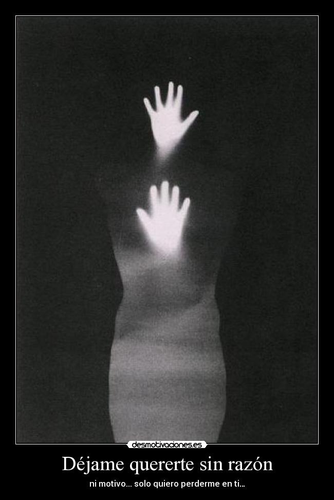 Déjame quererte sin razón - ni motivo... solo quiero perderme en ti…