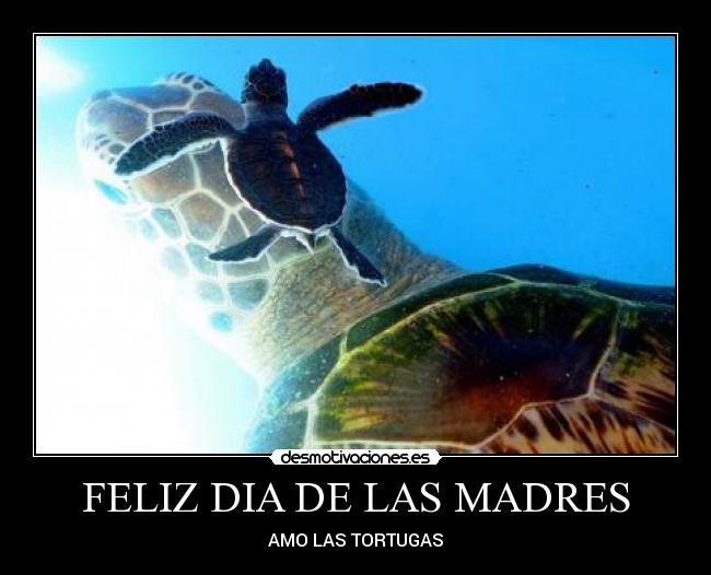 FELIZ DIA DE LAS MADRES -