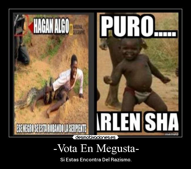 carteles luchemos encontra del razismo desmotivaciones