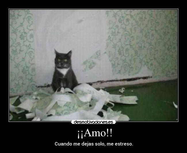¡¡Amo!! - Cuando me dejas solo, me estreso.