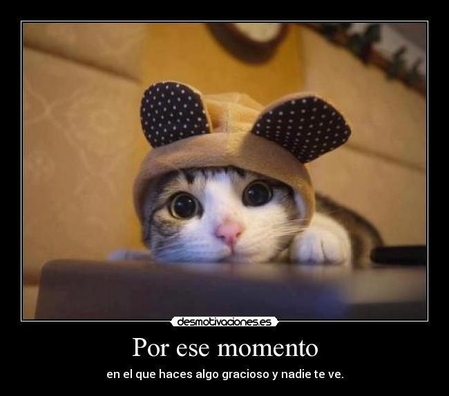 Por ese momento - en el que haces algo gracioso y nadie te ve.