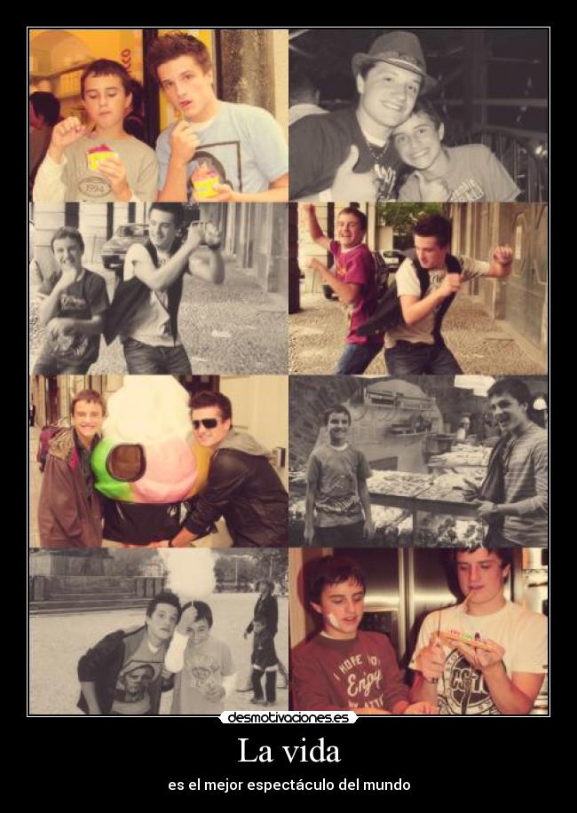 carteles vida vida desmotivaciones