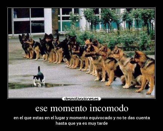 ese momento incomodo - en el que estas en el lugar y momento equivocado y no te das cuenta
hasta que ya es muy tarde