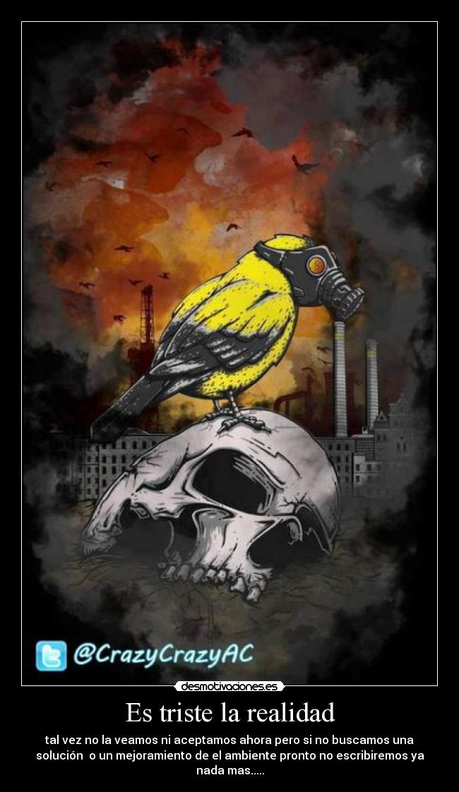 carteles dasfaf desmotivaciones