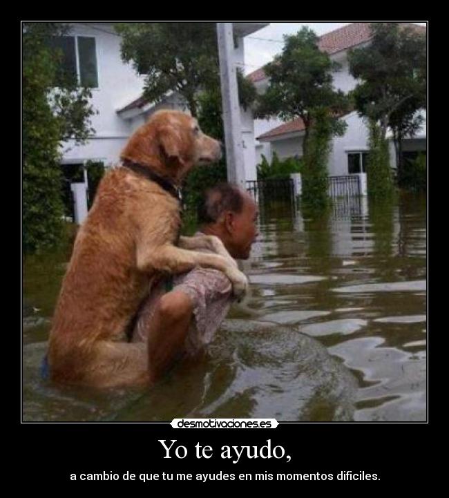 Yo te ayudo, -
