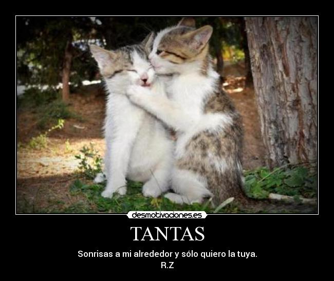 TANTAS - Sonrisas a mi alrededor y sólo quiero la tuya.
R.Z