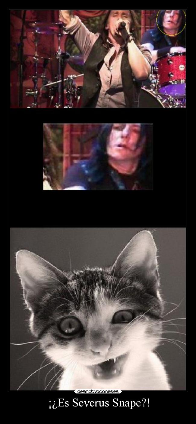 ¡¿Es Severus Snape?! - 