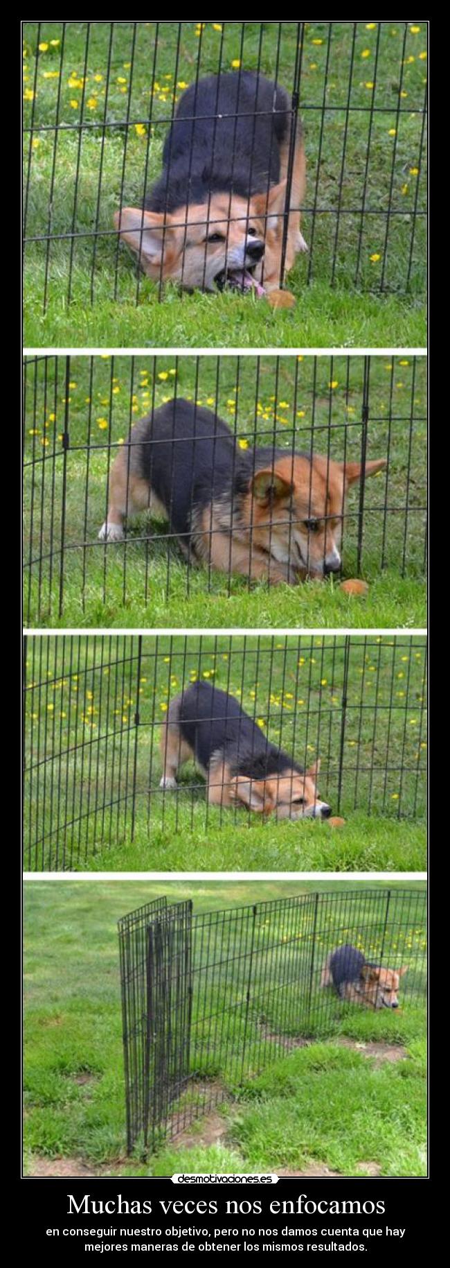 Muchas veces nos enfocamos -