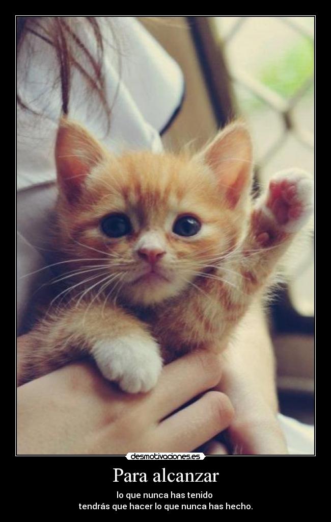 carteles verdades desmotivaciones